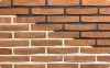 clay red dutch waterstruck brick